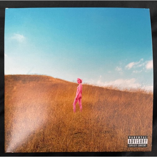 REGRETTES,THE - FURTHER JOY