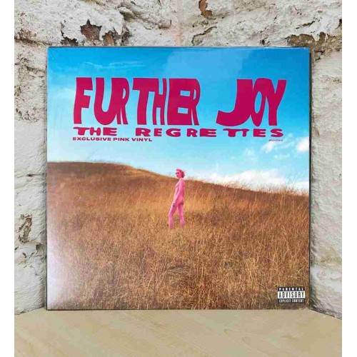 REGRETTES,THE - FURTHER JOY (140 GR 12