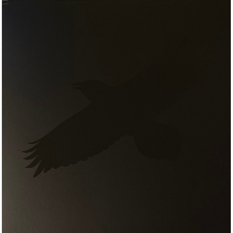 SIGUR ROS - ODINS RAVEN MAGIC