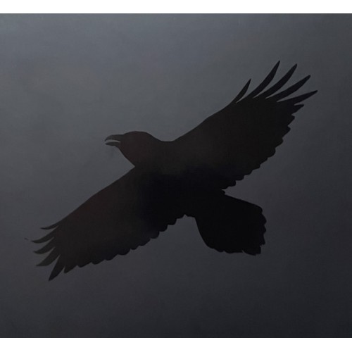 SIGUR ROS - ODINS RAVEN MAGIC