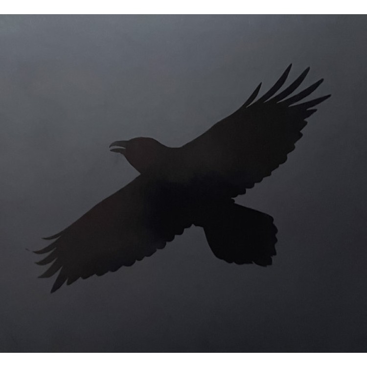 SIGUR ROS - ODINS RAVEN MAGIC