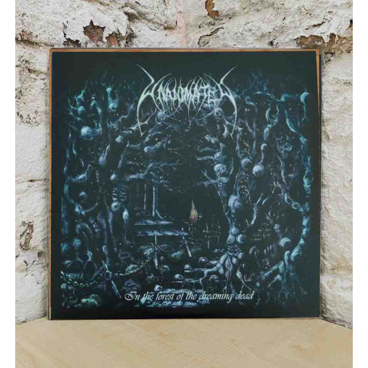 IN THE FOREST.. -REISSUE-