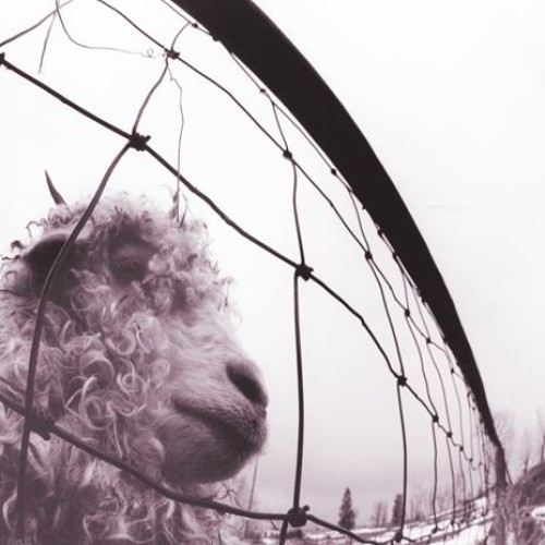 PEARL JAM - VS. - REISSUE-30TH ANNIVERSARY