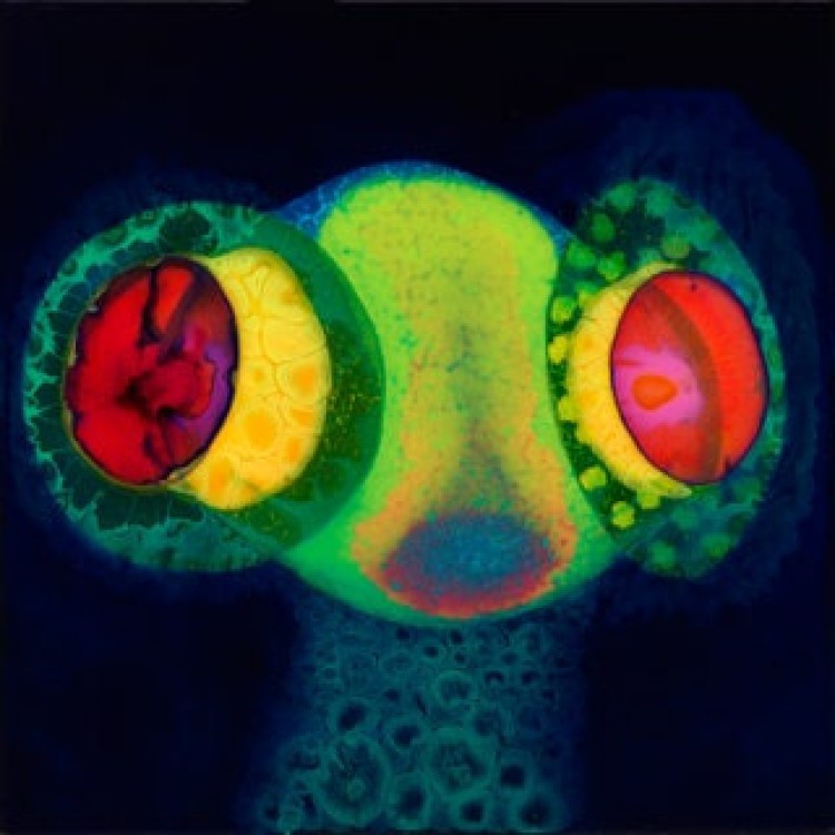 Sorcs 80 - Green Magenta