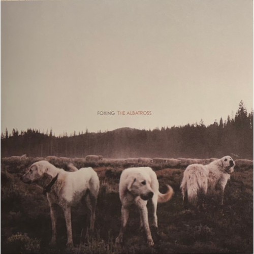 THE ALBATROSS: TEN YEARS (BROWN)