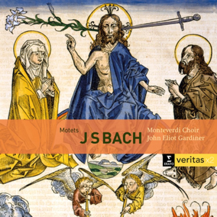 Bach - Motets BWV 225-231, Cantatas BWV 50 & 118 2CD