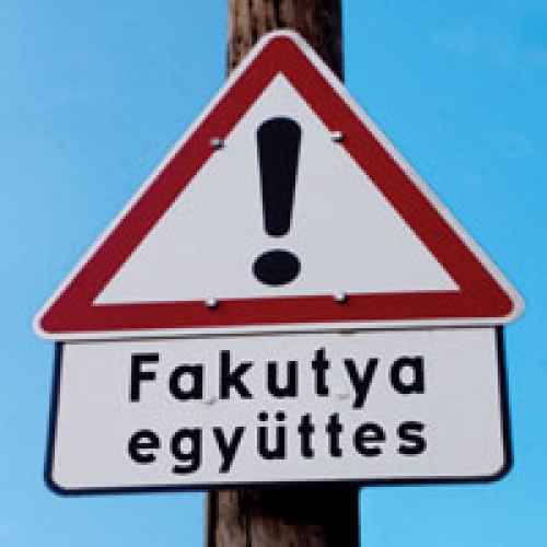 Fakutya Együttes - Egyéb veszély