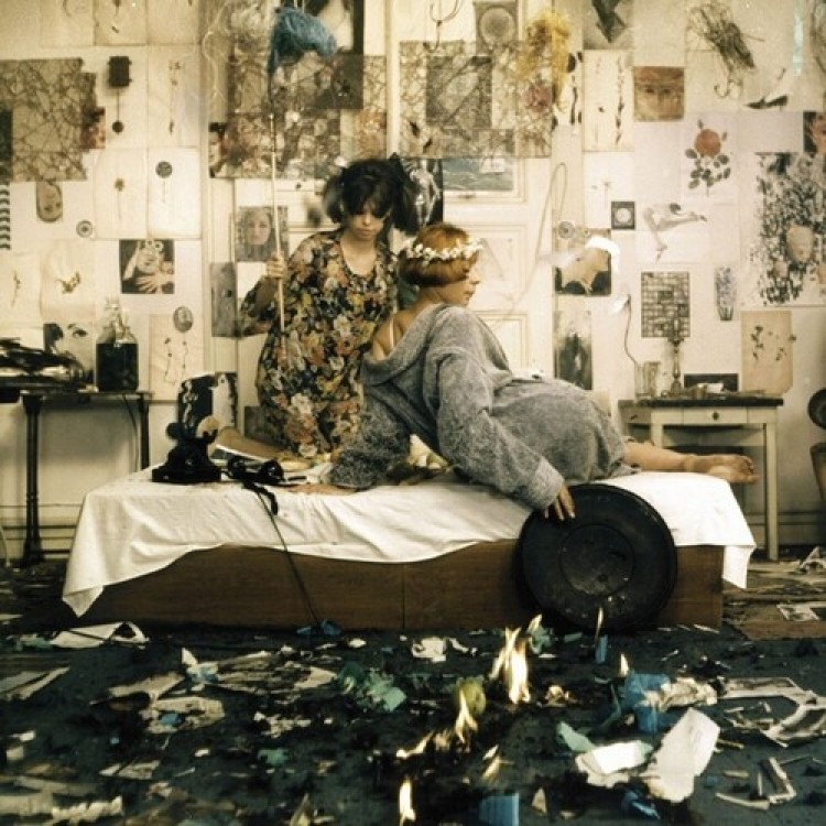 V/A - Daisies (Sedmikrasky)