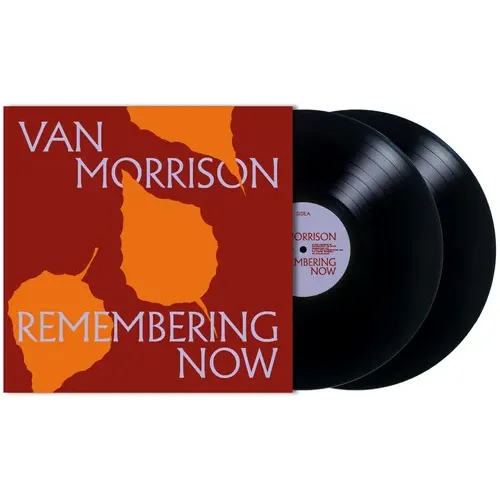Remembering Now LP BLACK