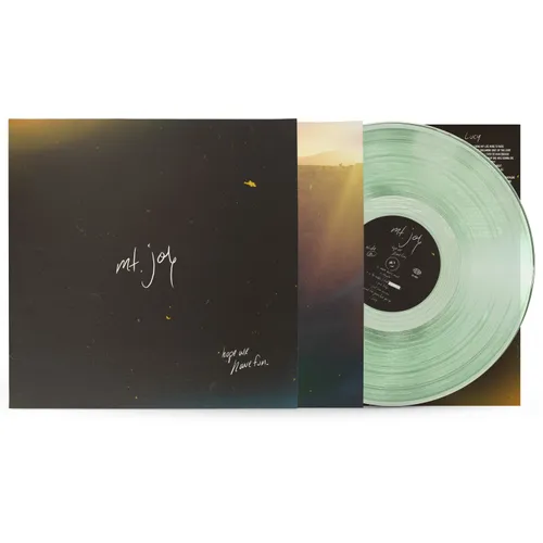 Hope We Have Fun LP CLEAR INDIE