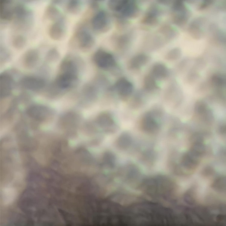 OURSELVES, AS WE ARE