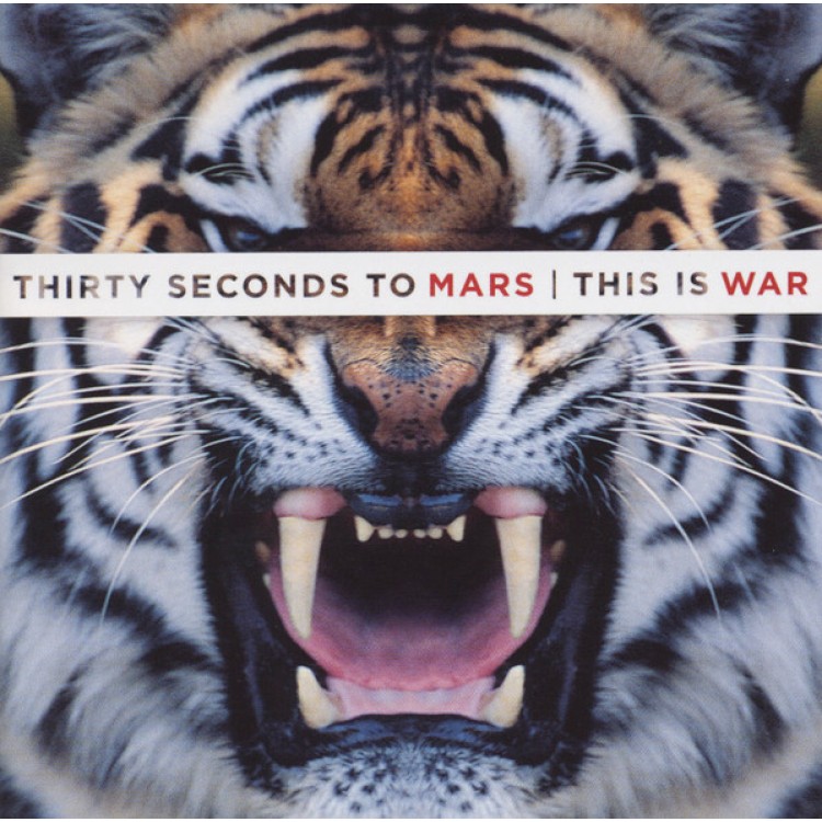 THIS IS WAR (WHITE BARCODE