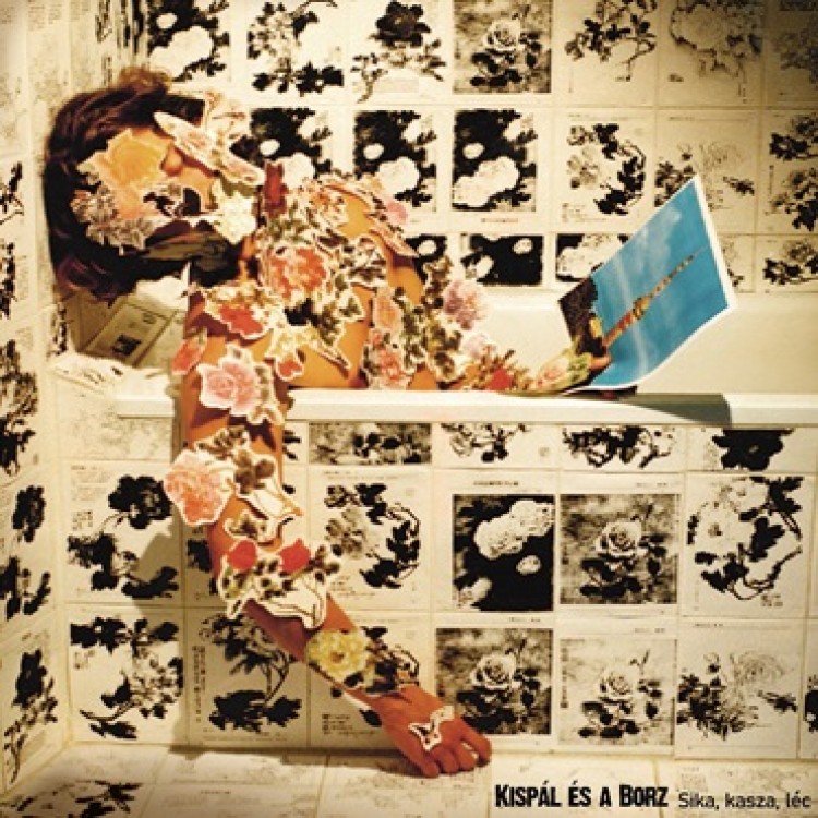 Sika, kasza, léc (Vinyl)