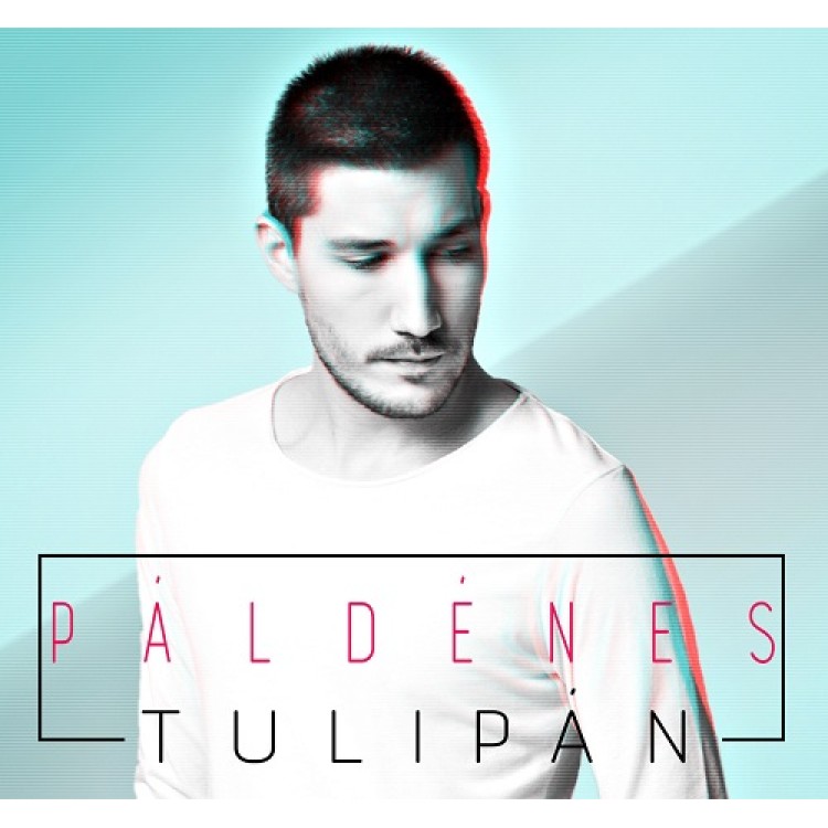 Pál Dénes - Tulipán