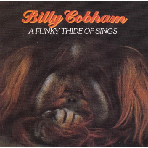 A FUNKY THIDE OF SINGS