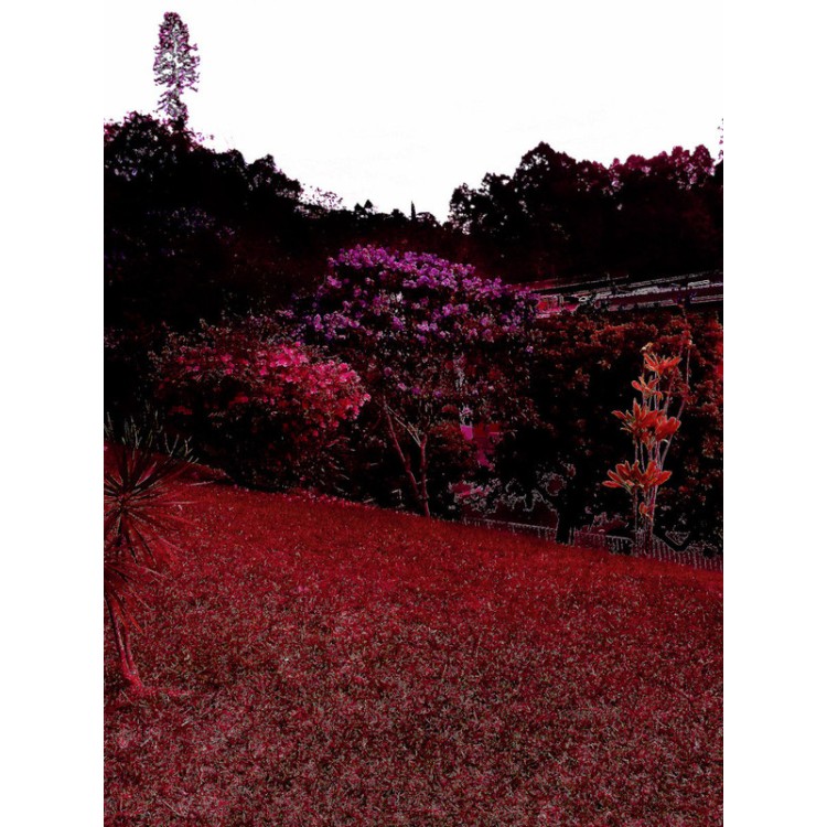 ANDRAS ADAM HORVATH - OST: THE LESSER KEY OF SOLOMON