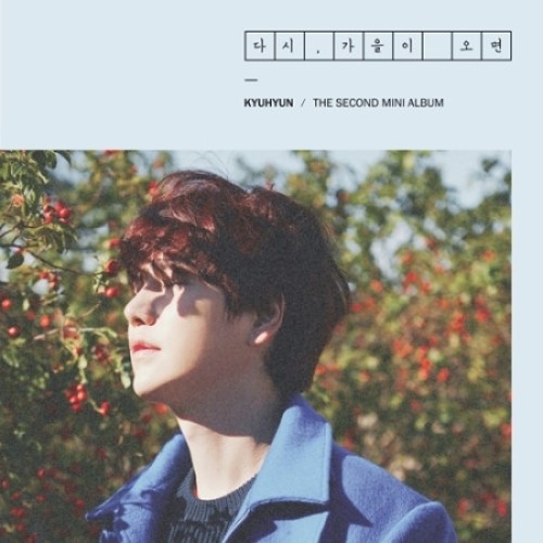 KYUHYUN (SUPER JUNIOR) - KYUHYUN