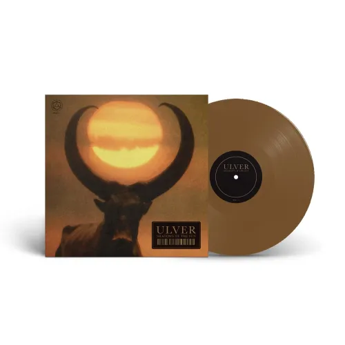Shadows Of The Sun LP BROWN