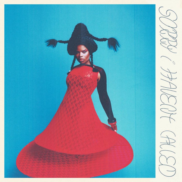 VAGABON - SORRY I HAVEN'T CALLED (BLUE, INDIE EXCLUSIVE)