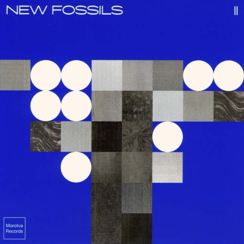 NEW FOSSILS - II