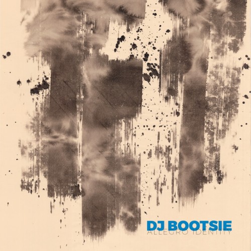 Dj Bootsie - Allegro Identity vinyl