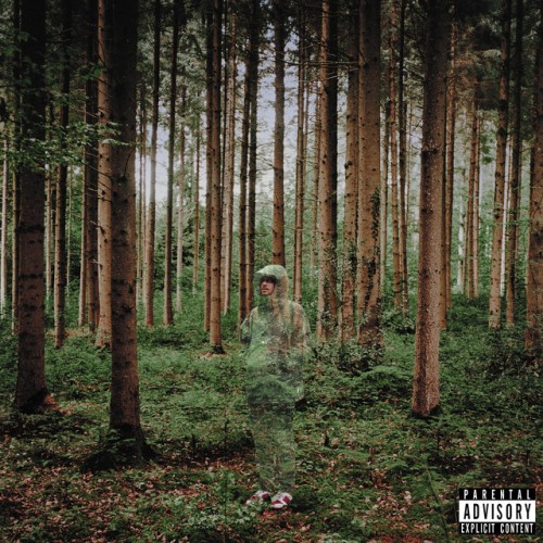 I LOVE YOU, I'M TRYING (140 GR 12