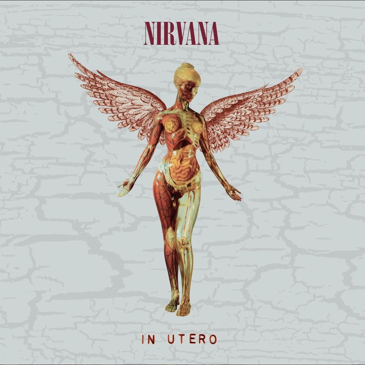 NIRVANA - IN UTERO 30TH ANNIVERSARY (CD BOX)