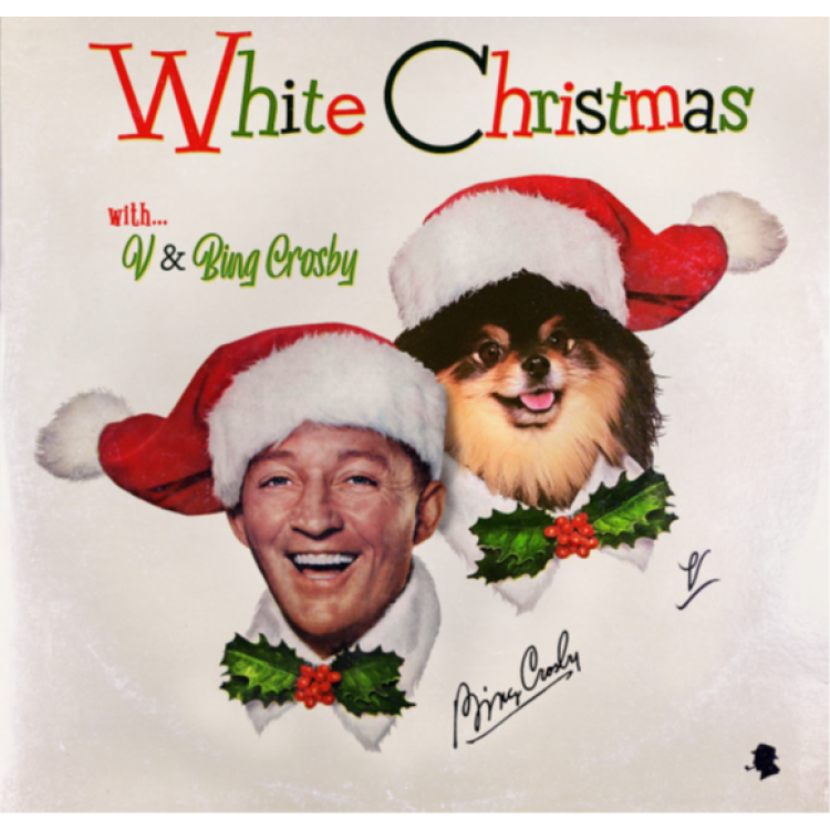 WHITE CHRISTMAS-Zoetrope vinyl