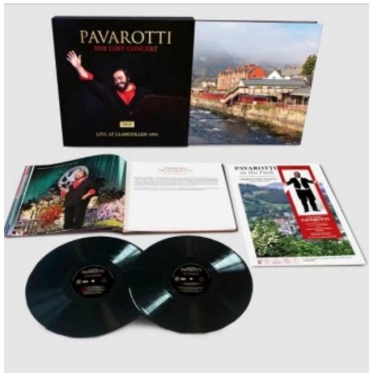 The Lost Concert - Live At Llangollen 1995