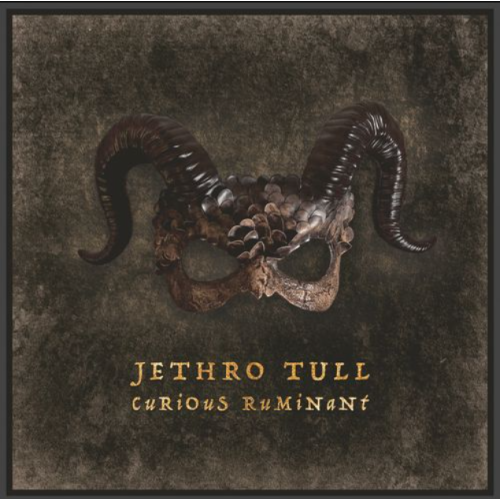 JETHRO TULL - Curious Ruminant