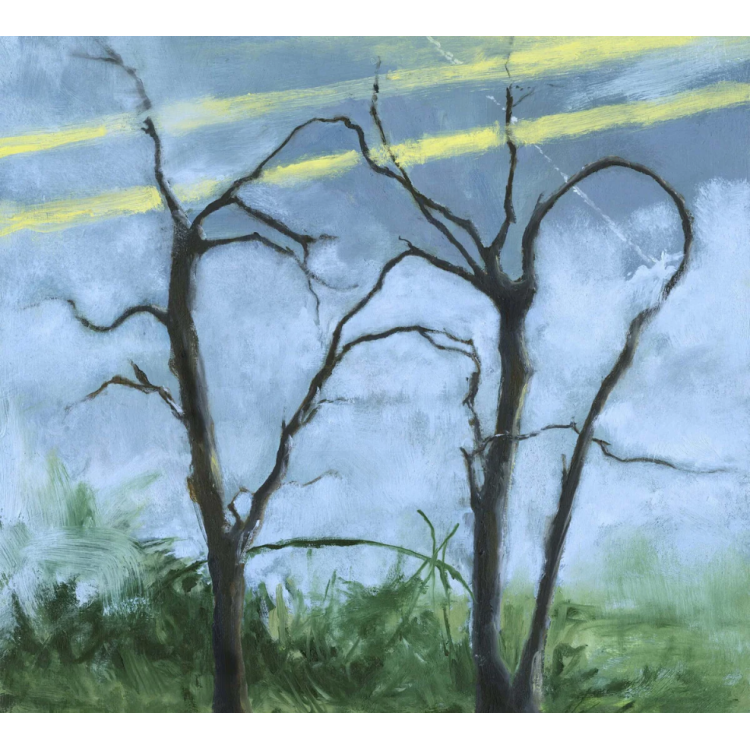 WHERE THE EARTH BENDS 