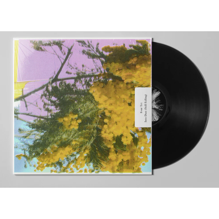 FOUR TET - Into Dust