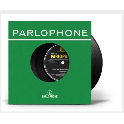 WHITE SKIES/HAVE YOU EVER HAD IT (40 GR 7