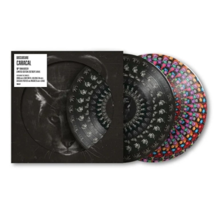 Disclosure - Caracal