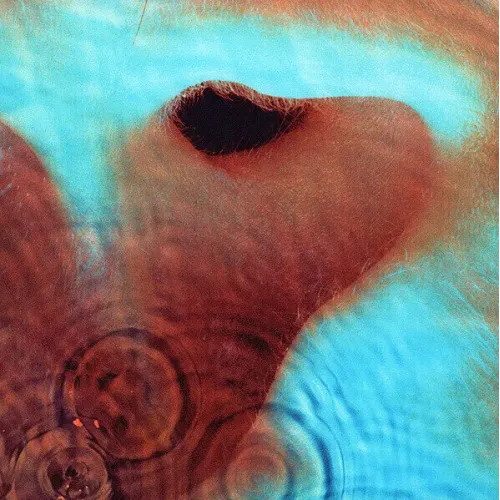 Pink Floyd - Meddle