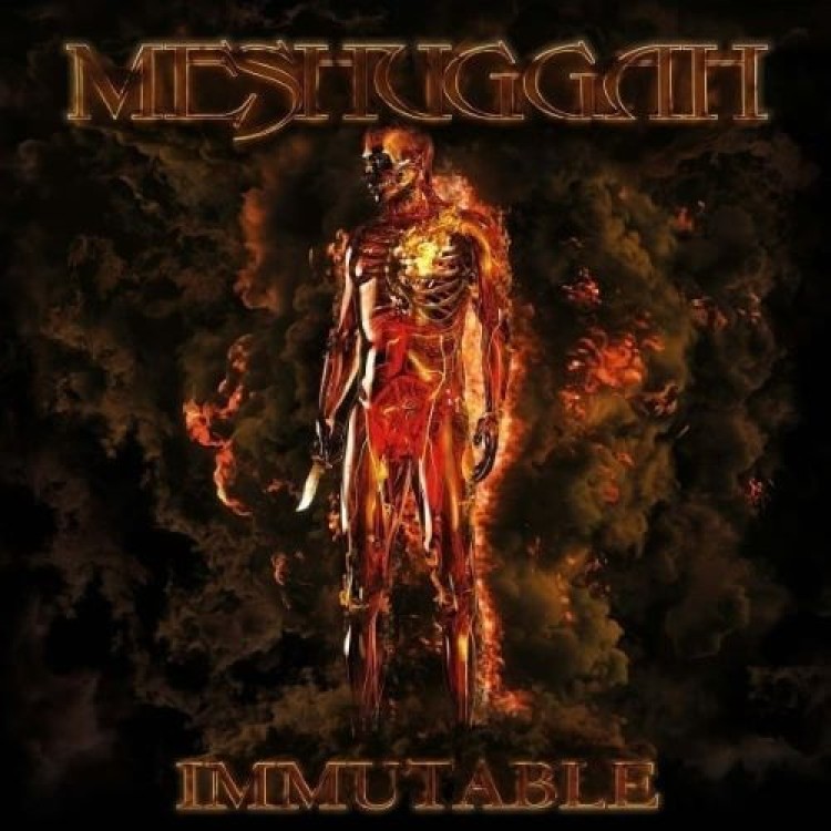 MESHUGGAH - IMMUTABLE
