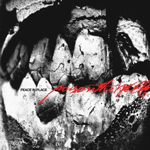 POISON THE WELL - PEACE IN PLACE