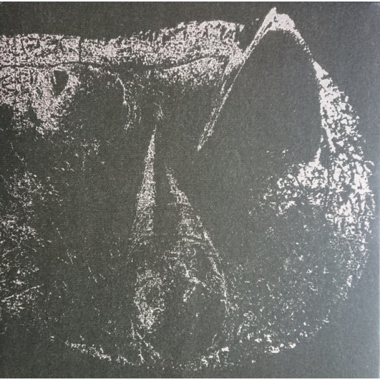 Demon Head - Viscera LP BLACK