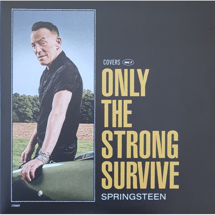 Bruce Springsteen - ONLY THE STRONG SURVIVE - ORBIT ORANGE COLOURED VINYL
