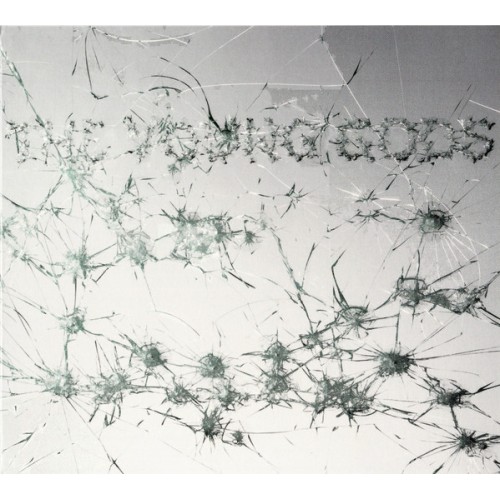 The Young Gods - Appear Disappear