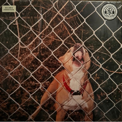 Knocked Loose - Pop Culture LP SPLATTER