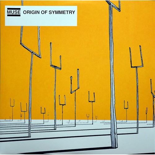 ORIGIN OF SYMMETRY