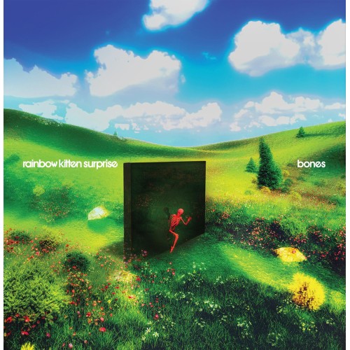 Rainbow Kitten Surprise - Bones