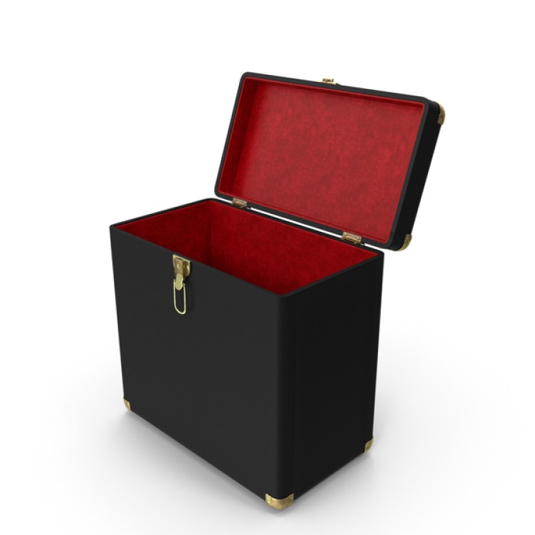 HORDOZHATÓ VINYL TARTÓ - 12 INCH - 2.0