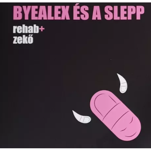 Rehab+Zekő