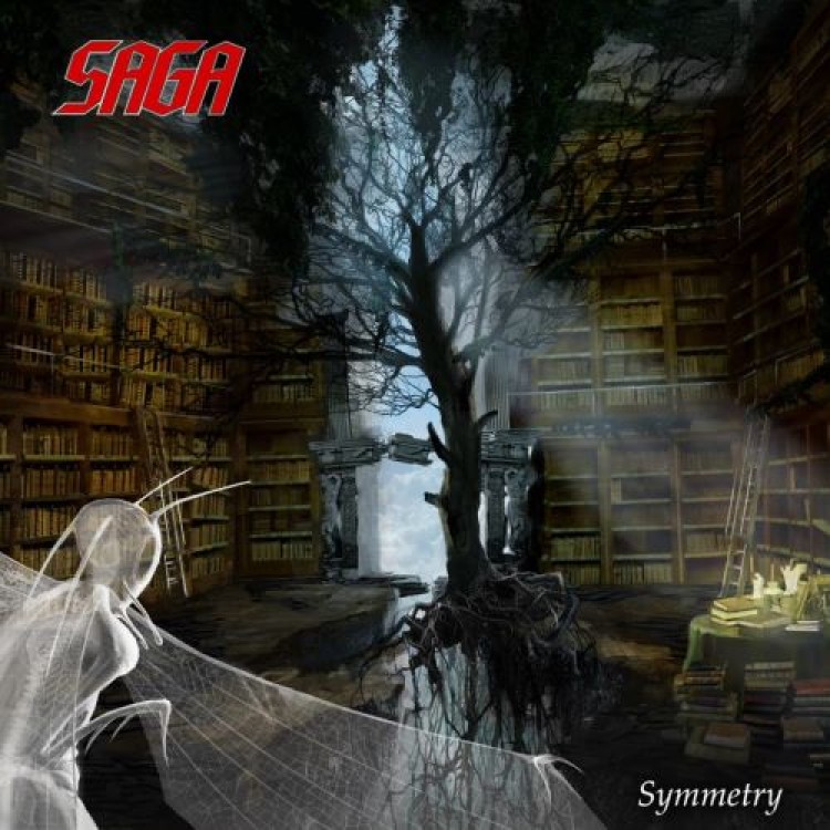 SAGA - Symmetry DIGI