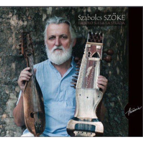 Da solo sulla strada