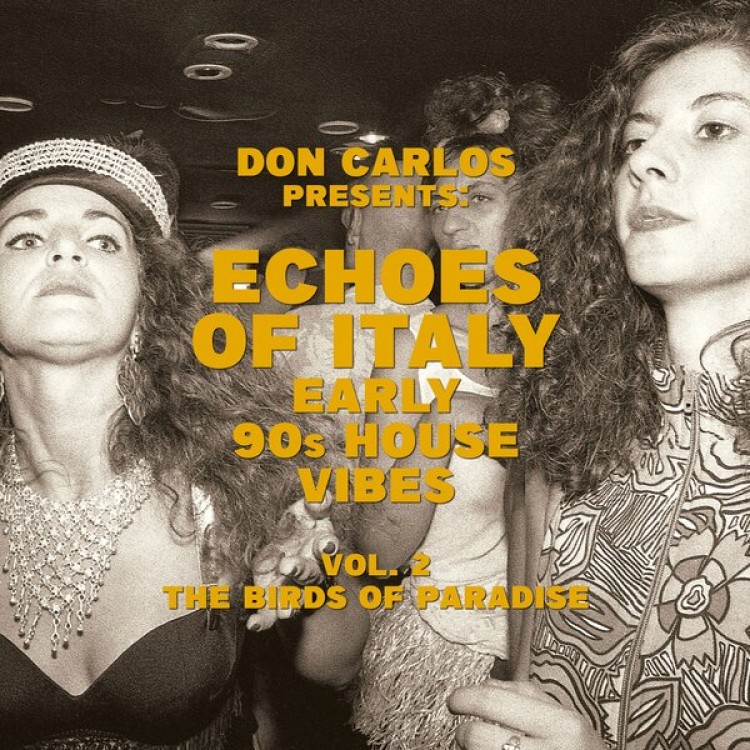 Echoes Of Italy - Early 90s House Vibes Vol.2 - Th