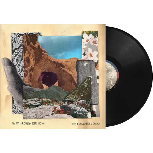 Walk Around The Moon LP