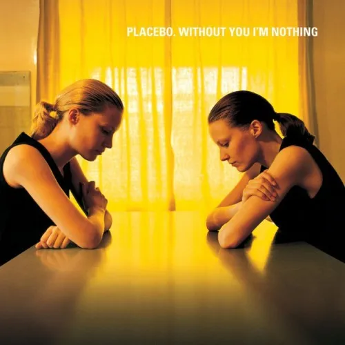 Without You I'm Nothing - Gate Fold Vinyl